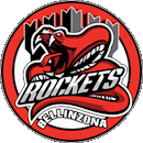 GDT Bellinzona Snakes